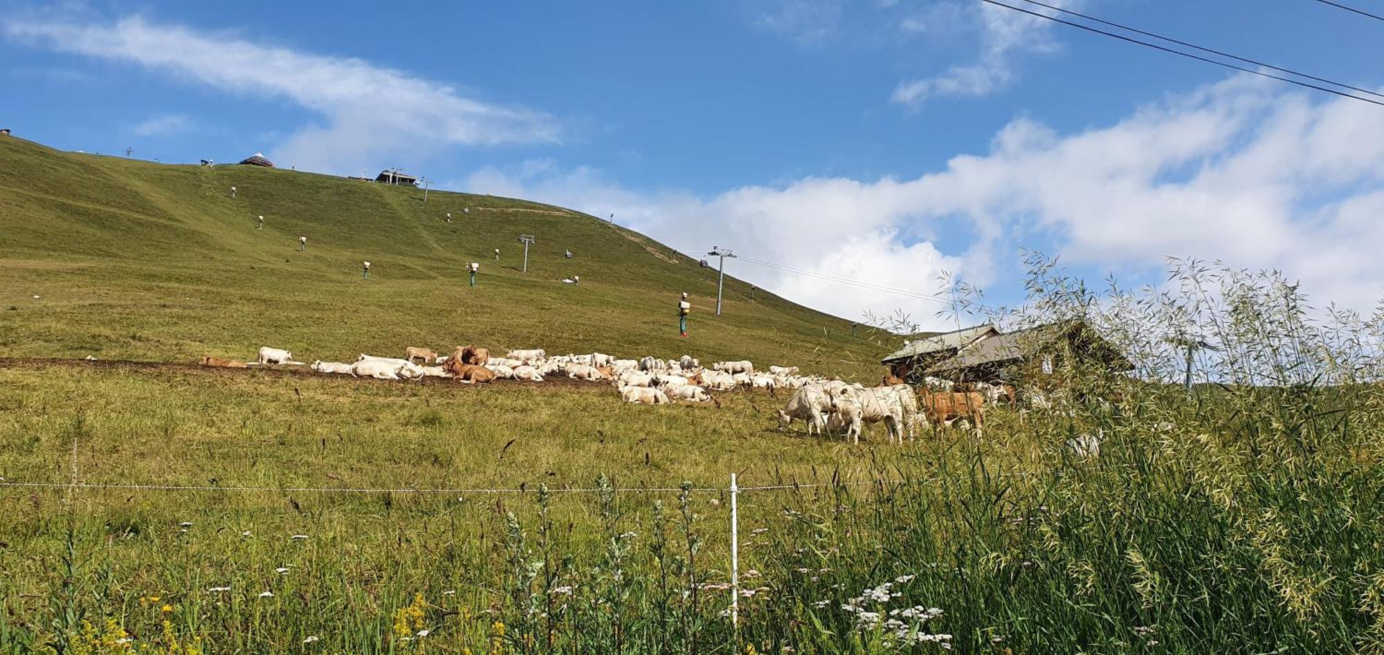 Pieds Des Pistes - Parking Couvert - Plein Sud Alpe d'Huez ภายนอก รูปภาพ